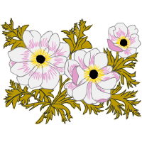 Illustration Wedding