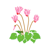 Illustration Wedding Illustration Wedding