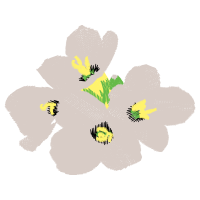 Illustration Wedding Illustration Wedding