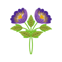 Illustration Wedding