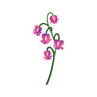 Illustration Wedding