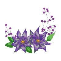 Illustration Wedding Illustration Wedding