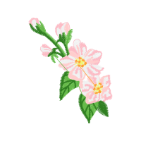 Illustration Wedding