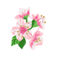 Illustration Wedding Illustration Wedding