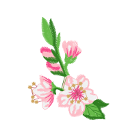 Illustration Wedding