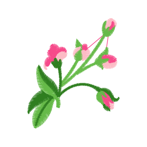 Illustration Wedding Illustration Wedding