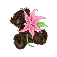 Illustration Wedding