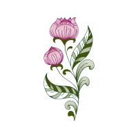 Illustration Wedding Illustration Wedding