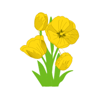 Illustration Wedding Illustration Wedding