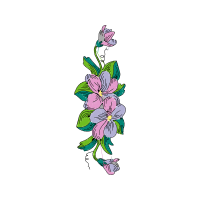 Illustration Wedding Illustration Wedding