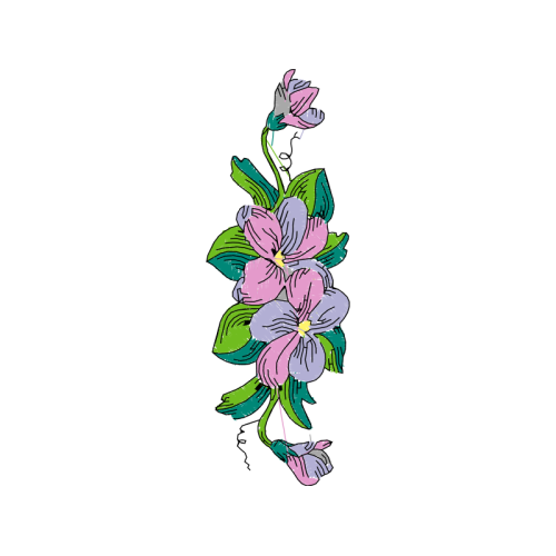 Illustration Wedding Illustration Wedding