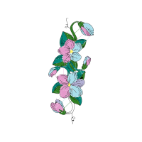 Illustration Wedding Illustration Wedding