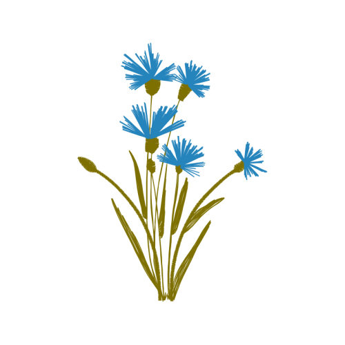 Illustration Wedding Illustration Wedding