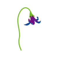 Illustration Wedding Illustration Wedding