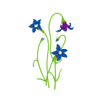 Illustration Wedding Illustration Wedding