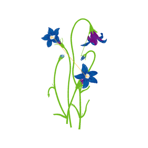 Illustration Wedding Illustration Wedding