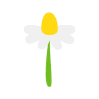 Illustration Wedding Illustration Wedding