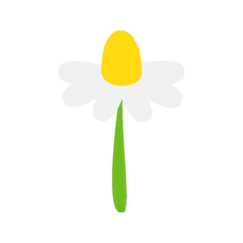 Illustration Wedding Illustration Wedding