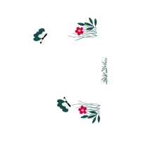 Illustration Wedding Illustration Wedding