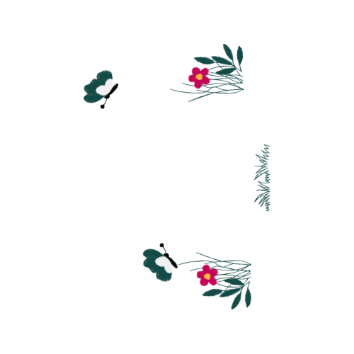 Illustration Wedding Illustration Wedding