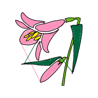 Illustration Wedding Illustration Wedding