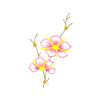 Illustration Wedding Illustration Wedding