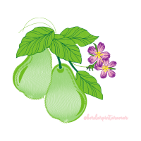 Illustration Wedding Illustration Wedding