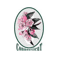 Illustration Wedding Illustration Wedding