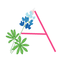 Illustration Wedding Illustration Wedding