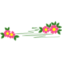 Illustration Wedding