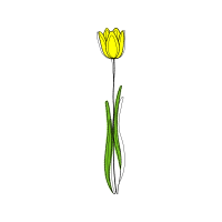 Illustration Wedding