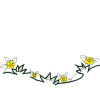 Illustration Wedding Illustration Wedding