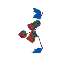 Illustration Wedding Illustration Wedding