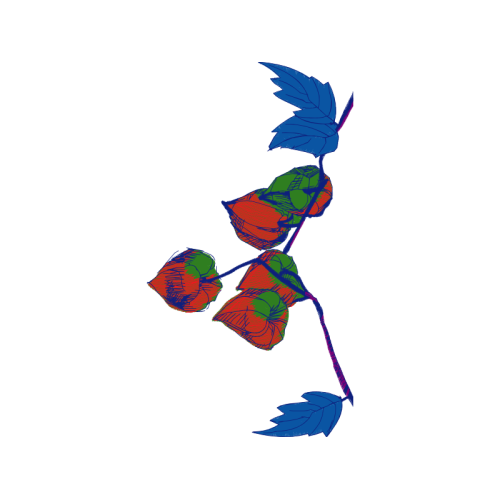 Illustration Wedding Illustration Wedding