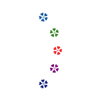 Illustration Wedding