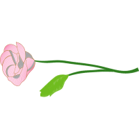 Illustration Wedding