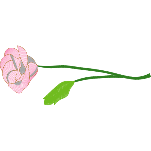 Illustration Wedding Illustration Wedding