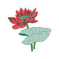 Illustration Wedding Illustration Wedding