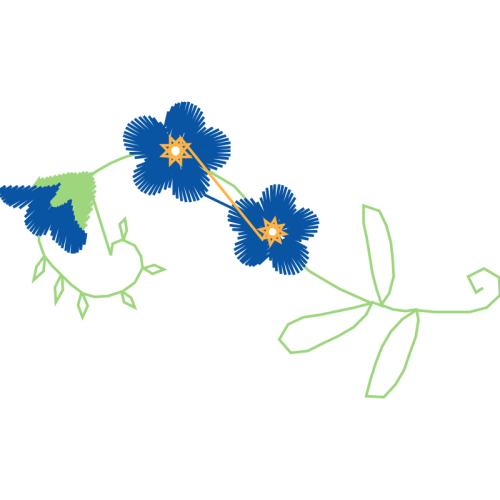 Illustration Wedding Illustration Wedding