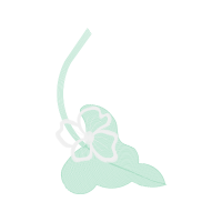 Illustration Wedding Illustration Wedding