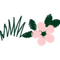 Illustration Wedding Illustration Wedding