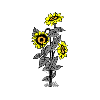 Illustration Wedding