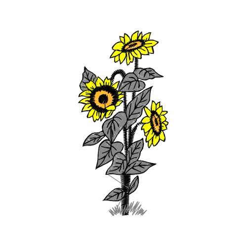 Illustration Wedding Illustration Wedding