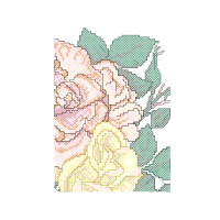 Illustration Wedding