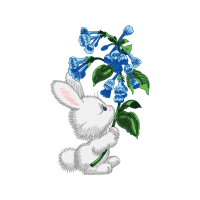 Illustration Wedding Illustration Wedding