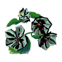 Illustration Wedding Illustration Wedding