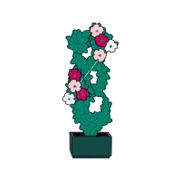 Illustration Wedding