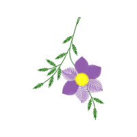 Illustration Wedding