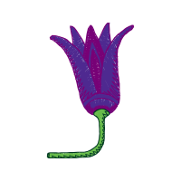 Illustration Wedding Illustration Wedding