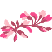 Illustration Wedding